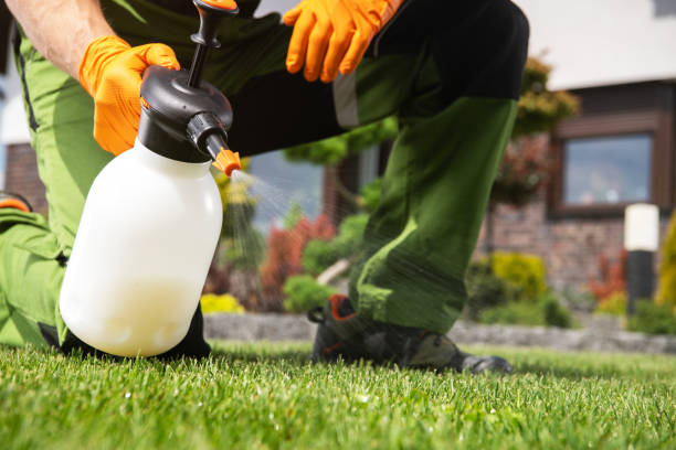 Best Emergency Pest Control  in Rome, GA